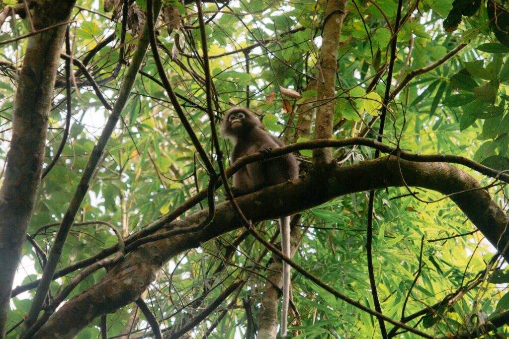 LINE_ALBUM_full day trekking_240830_18