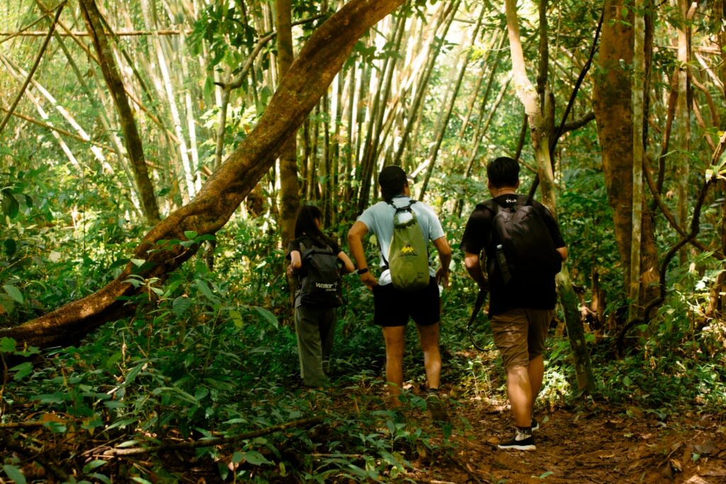 LINE_ALBUM_full day trekking_240830_5