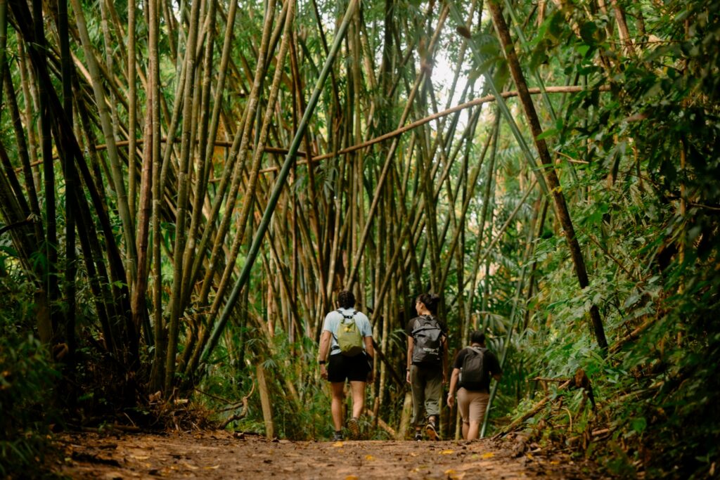 LINE_ALBUM_half day trekking_240830_12