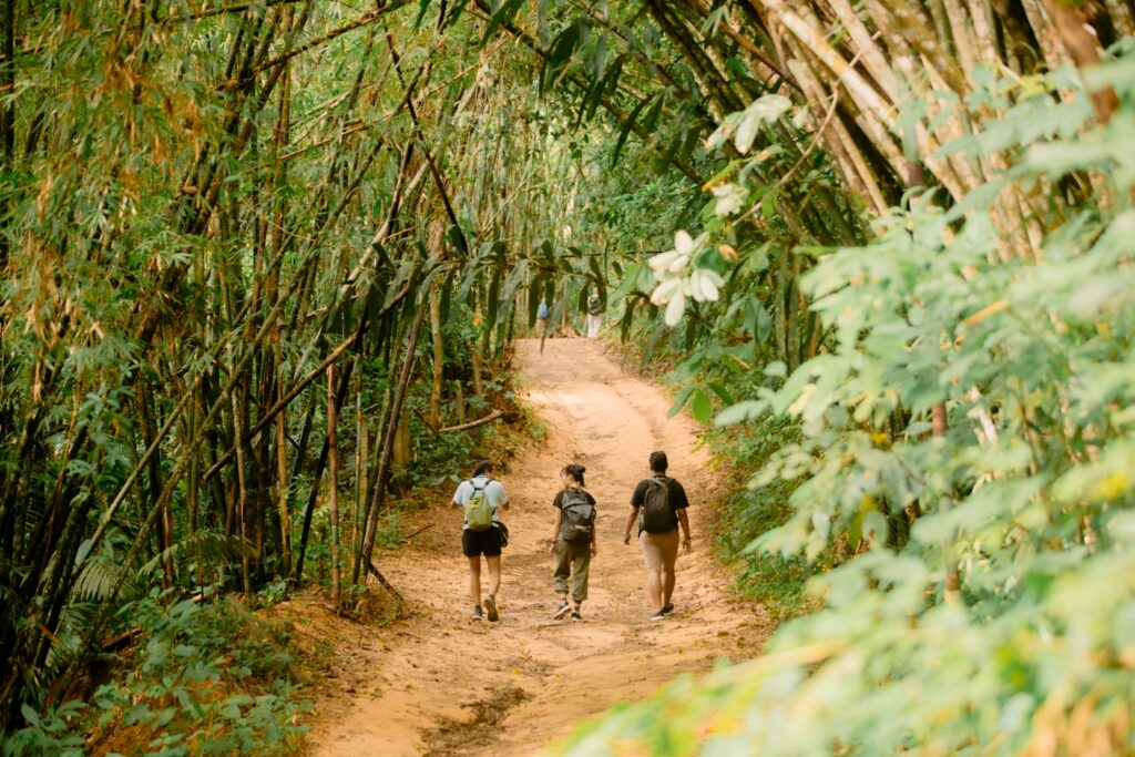 LINE_ALBUM_half day trekking_240830_15