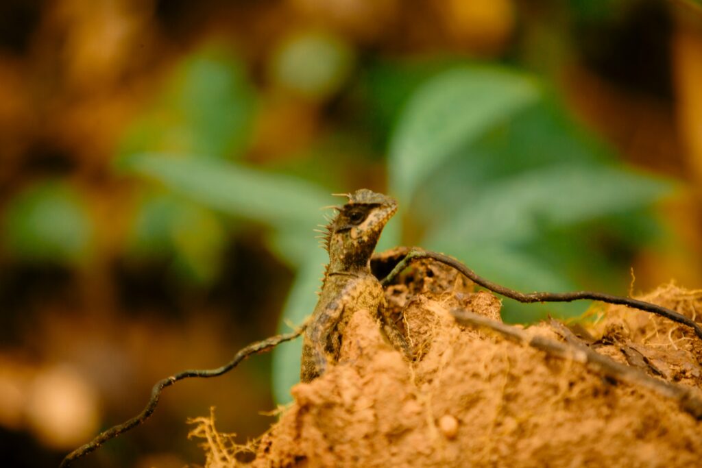 LINE_ALBUM_half day trekking_240830_16