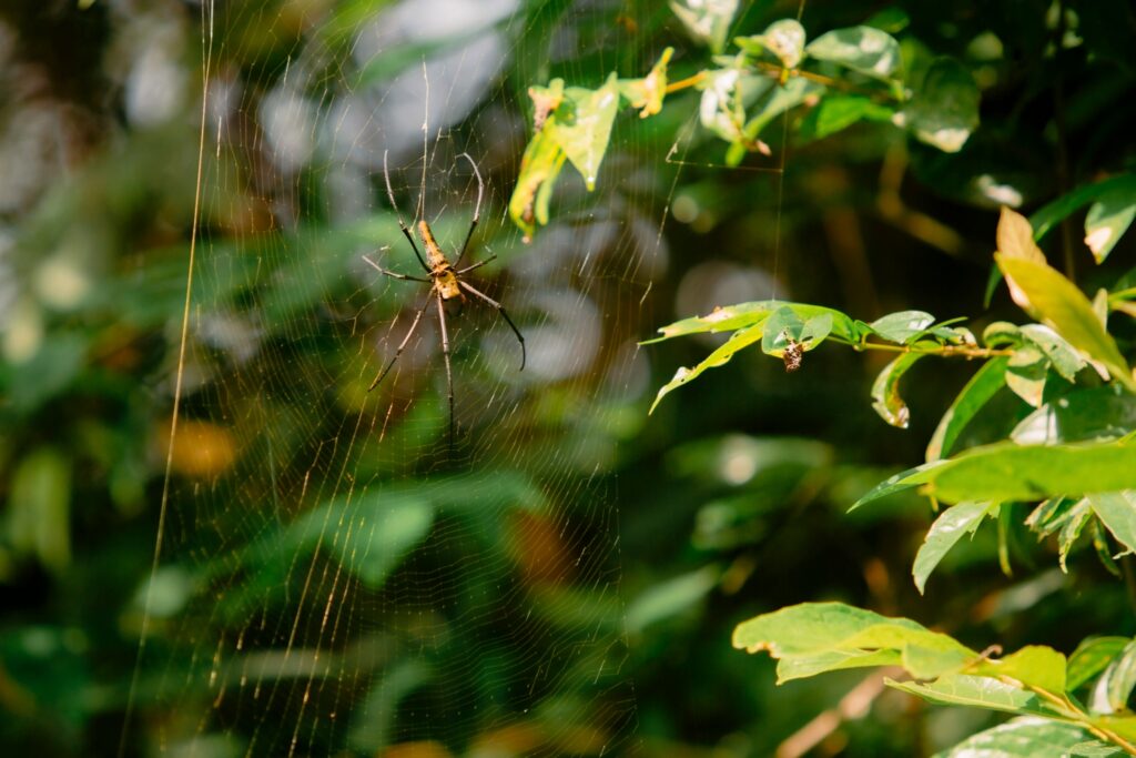 LINE_ALBUM_half day trekking_240830_20