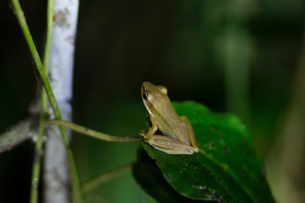 LINE_ALBUM_Night safari_240830_26