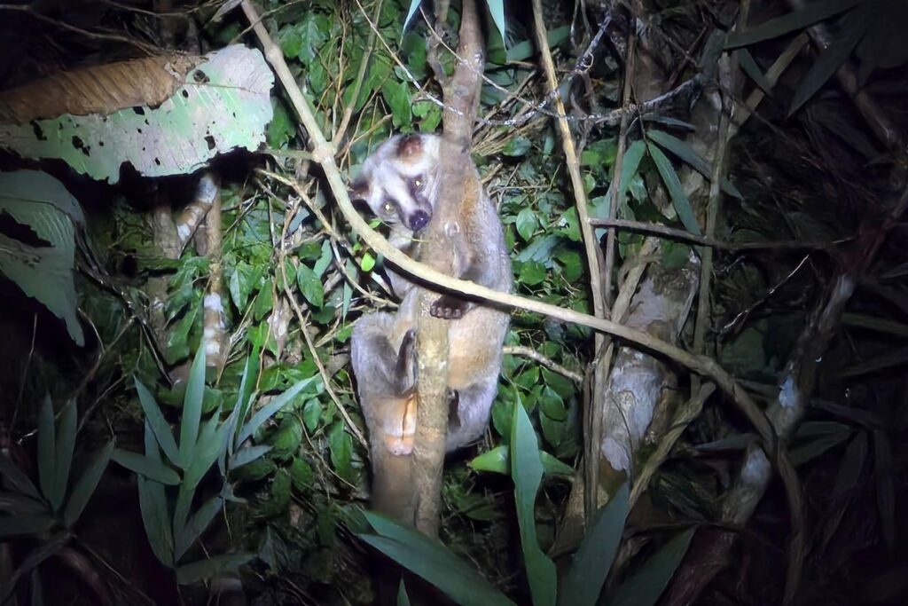 LINE_ALBUM_Night safari_240830_66