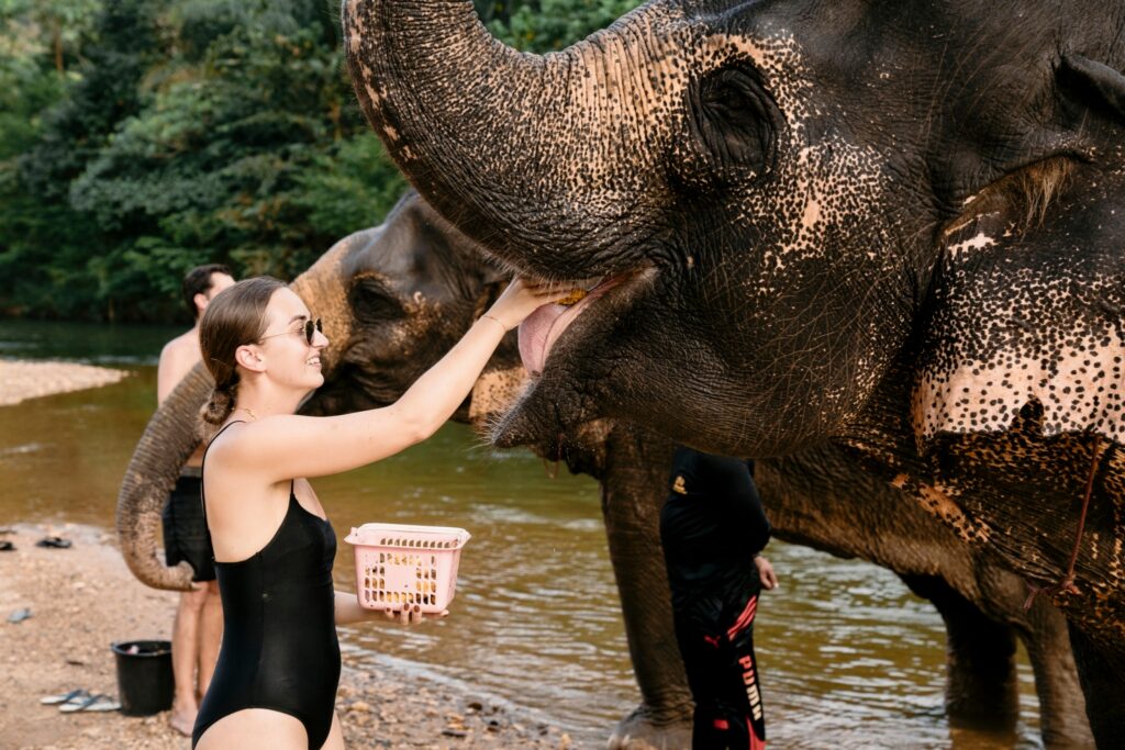 LINE_ALBUM_elephant Bath and care_240830_123