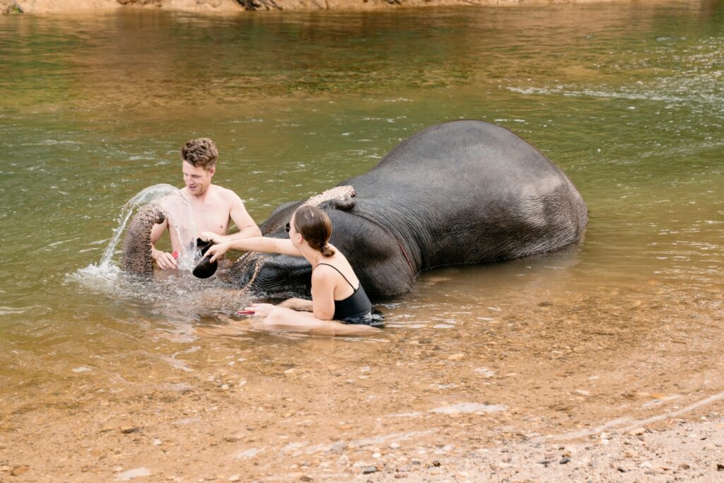 LINE_ALBUM_elephant Bath and care_240830_171