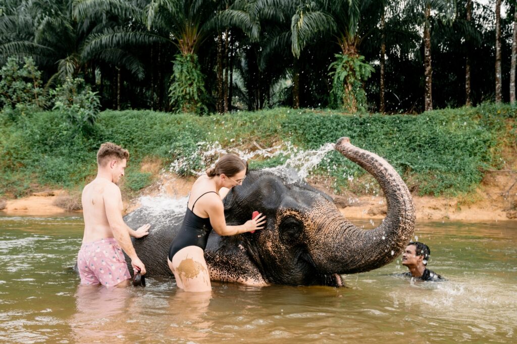 LINE_ALBUM_elephant Bath and care_240830_178