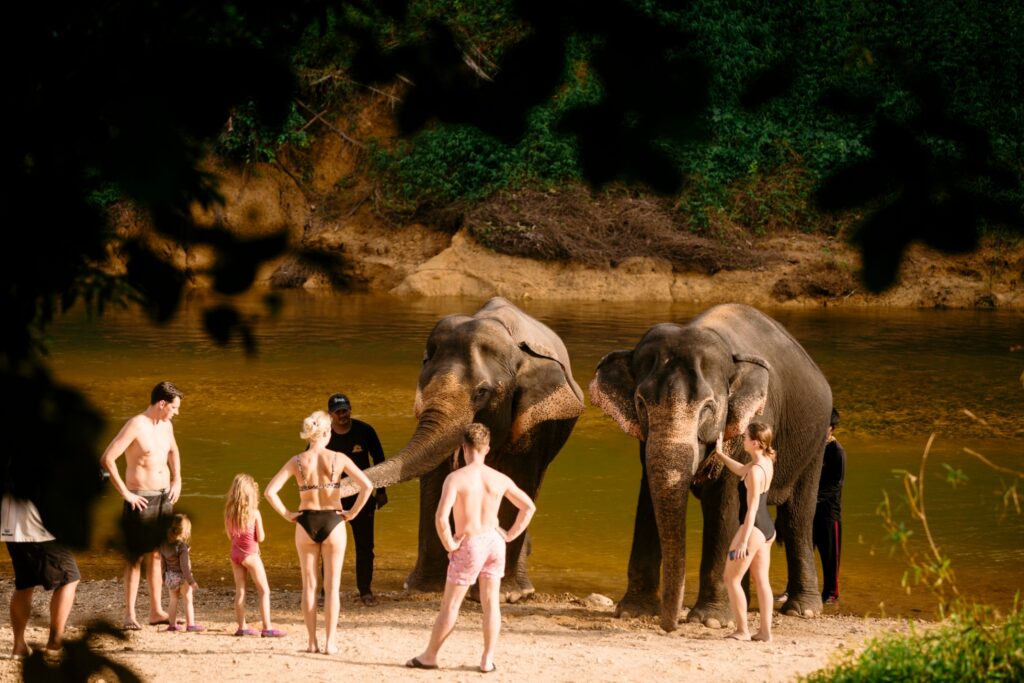 LINE_ALBUM_elephant Bath and care_240830_214