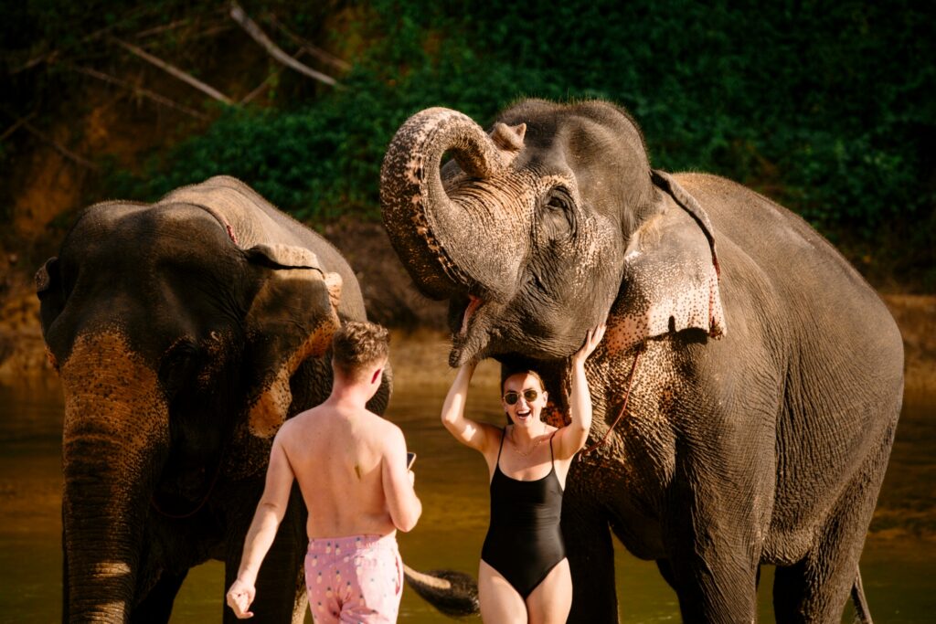 LINE_ALBUM_elephant Bath and care_240830_215